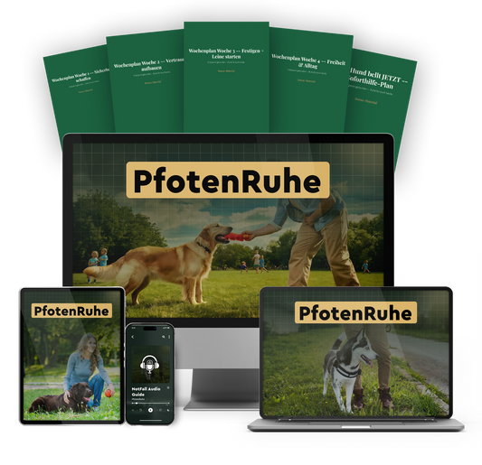 PfotenRuhe